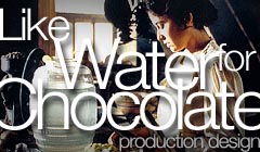 Like Water for Chocolate - Production Design by Denise Pizzini